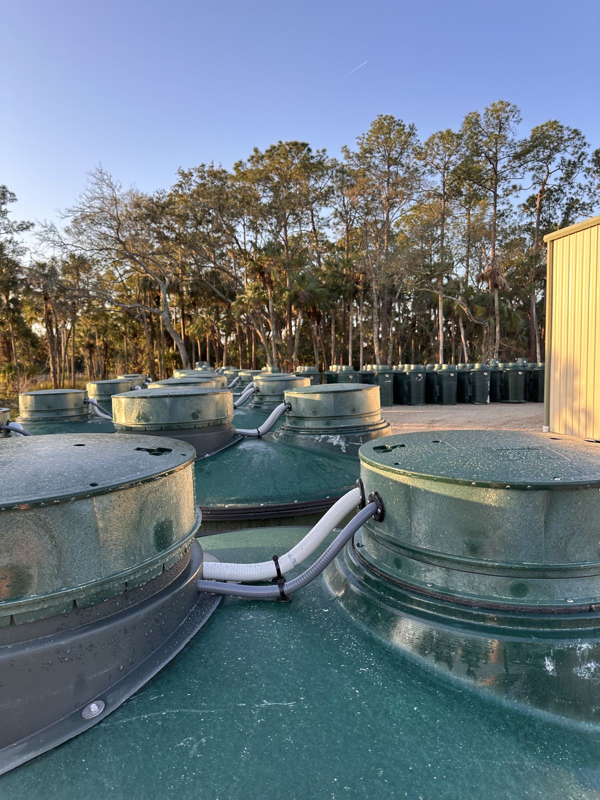 Fiberglass wastewater tanks in the yard